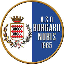 Borgaro